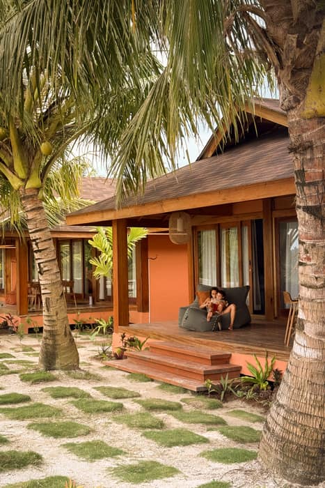 The path through the palms