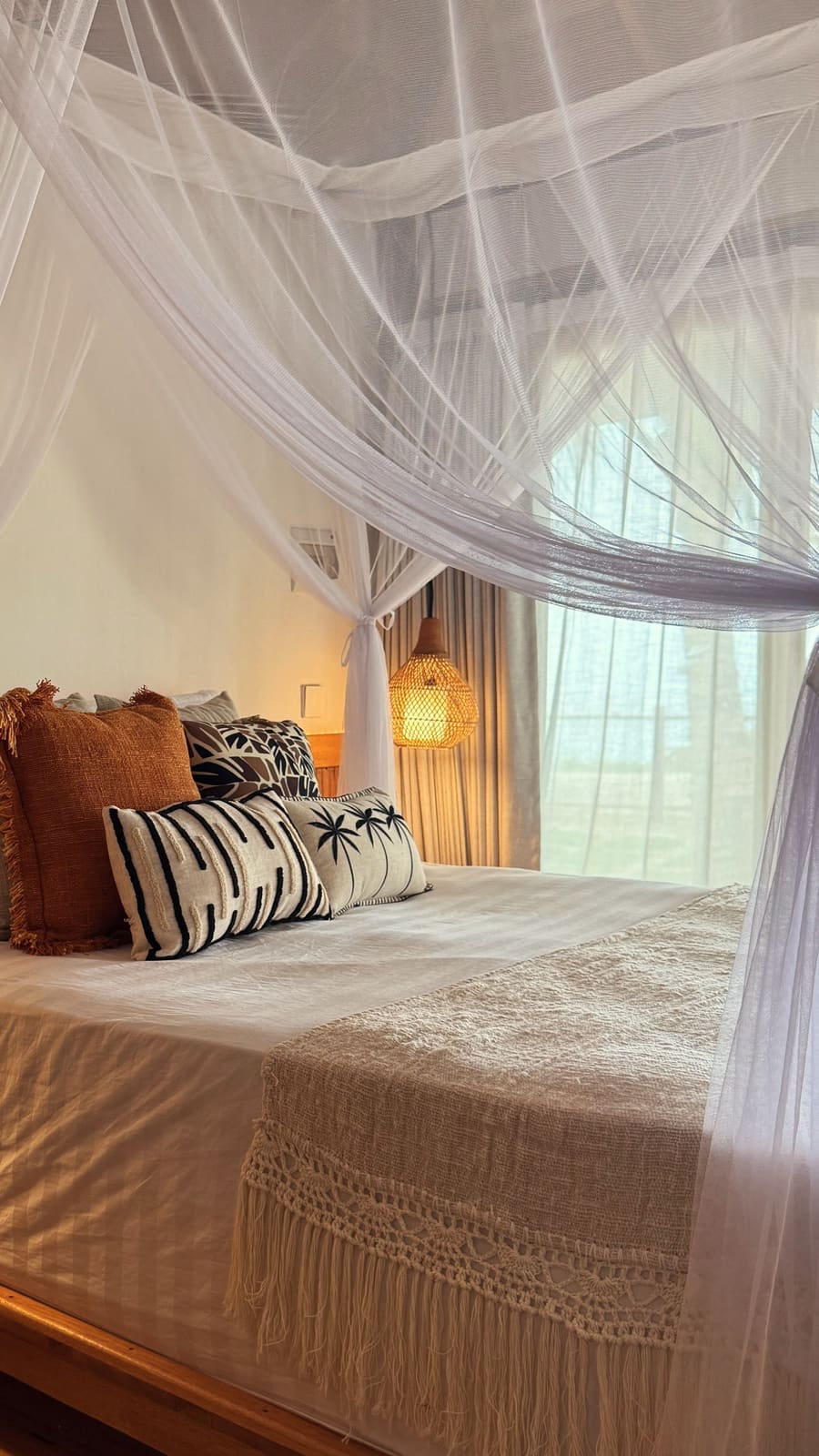 The suite at first light